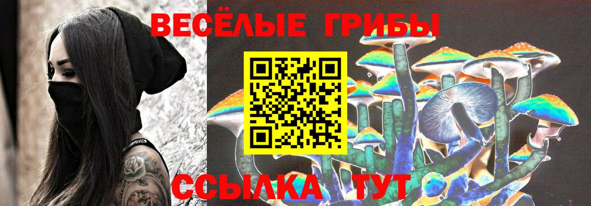 Псилоцибиновые грибы мухоморы Реутов
